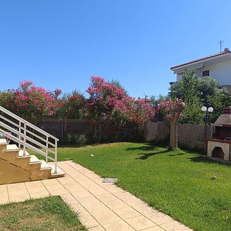 Dimar1 Seaside Apartment Paralia Dionisiou Extérieur photo
