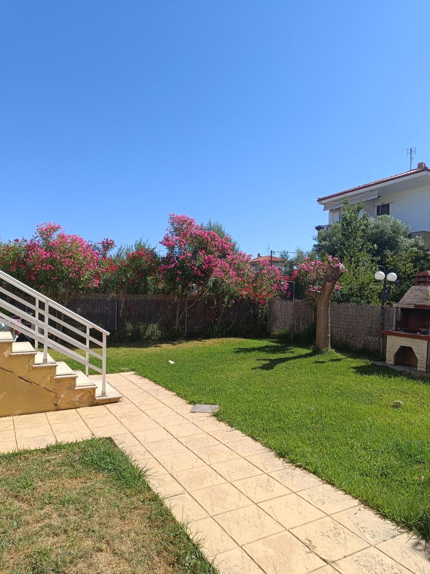 Dimar1 Seaside Apartment Paralia Dionisiou Extérieur photo